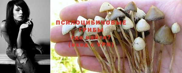 мет Касимов