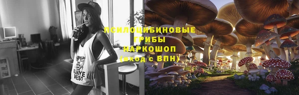 Альфа ПВП Карпинск