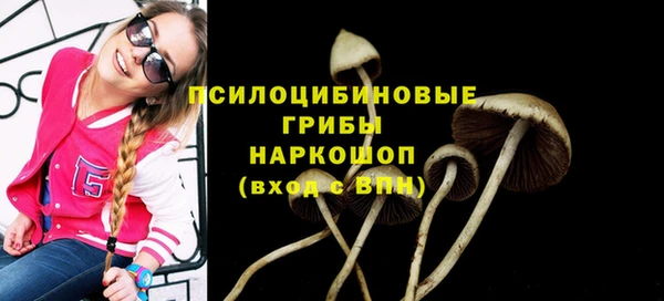 амф Киренск