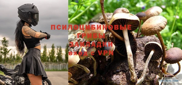 ПСИЛОЦИБИНОВЫЕ ГРИБЫ Карталы