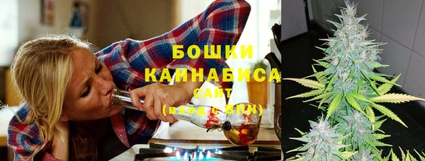 мет Касимов