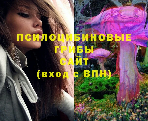 ПСИЛОЦИБИНОВЫЕ ГРИБЫ Карталы