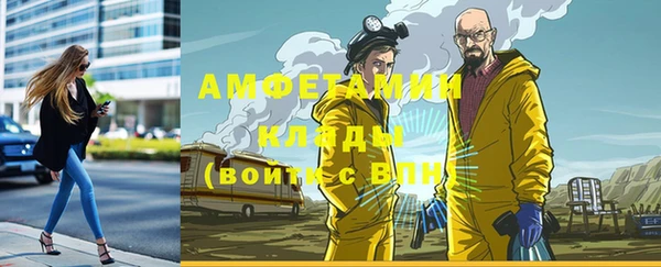 мет Касимов