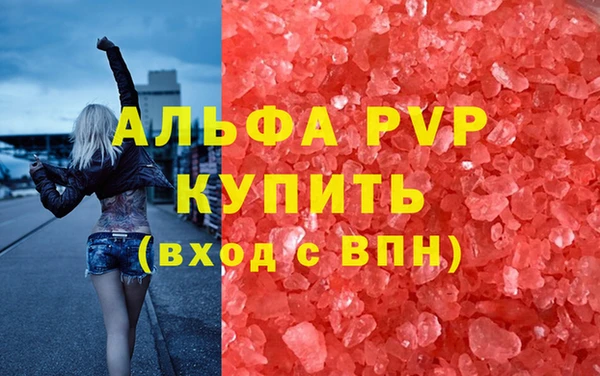 ПСИЛОЦИБИНОВЫЕ ГРИБЫ Карталы